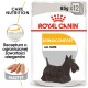 Opakowanie karmy dla psów Royal Canin Dermacomfort, z ilustracją czarnego teriera szkockiego, 85g x 12, z tekstem o przepisie zmniejszającym alergeny.