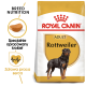 Torba z karmą dla dorosłych psów rasy Rottweiler Royal Canin, z wizerunkiem Rottweilera, z tekstem podkreślającym korzyści żywieniowe dla rasy i zdrowie serca.