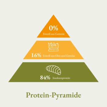 Infografik, die eine Proteinpyramide mit 0% Getreideprotein, 16% Obst- und Gemüseprotein und 84% Insektenprotein zeigt, beschriftet mit 'Protein-Pyramide'.