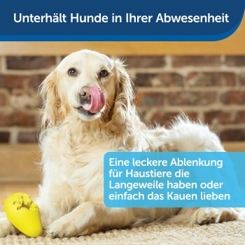 Tiefkühlgeeignetes Snackspielzeug für Hunde Eistüte gelb M-L