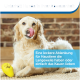 Ein flauschiger Hund sitzt auf einem Holzboden neben einem gelben Kauspielzeug. Text: "Unterhält Hunde in Ihrer Abwesenheit."