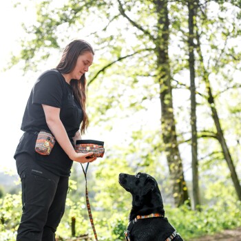 Eine Frau in einem schwarzen Shirt hält eine bunte Leckerlitasche, während sie mit einem schwarzen Hund interagiert, der ein gemustertes Halsband in einer grünen Umgebung trägt.