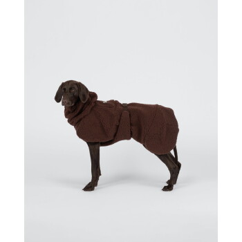 Brauner Hund in dunkelbraunem Sherpa-Fleece-Mantel mit Schnallenriemen, vor weißem Studiohintergrund.