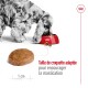 SHN Medium Adult 7+ 15 kg