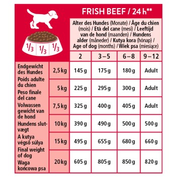 FRISH BEEF / 24 h Hundefütterungstabelle mit Altersspalten (2, 3–5, 6–8, 9–12 Monate) und Endgewichten 2,5–20 kg mit Grammportionen