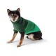 Ein Hund, der einen stilvollen grünen Pullover mit einem strukturierten Muster trägt, sitzt vor einem weißen Hintergrund.