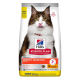 Hill's Science Plan cat food bag featuring a fluffy cat licking its lips, labeled "Perfect Digestion" for adult cats, with chicken and brown rice.