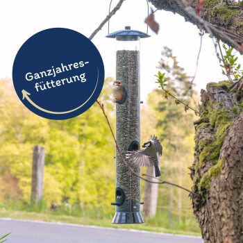 Ein Vogelhaus, gefüllt mit Sonnenblumenkernen, mit einem kleinen Vogel, der darauf sitzt, und einem fliegenden Vogel in der Nähe. Der Textüberlagerung lautet "Ganzjahresfütterung."