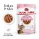 Royal Canin Kitten Sterilised kattenvoer verpakking, met een kittenafbeelding, details "6-12 maanden," en een kom met brokjes in saus.