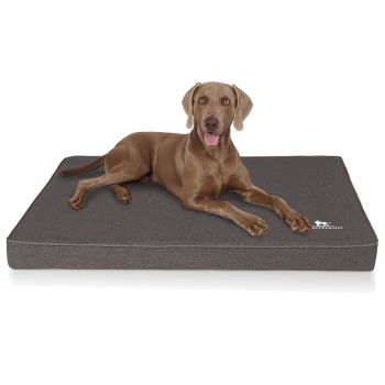 Ein brauner Hund, der bequem auf einem grauen Haustierbett liegt, mit einem Logo, das in der unteren rechten Ecke "RUFFLUFF" liest.