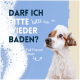Ein süßer Hund mit einem seifigen Kopf schaut nach oben, begleitet von dem Text: "Darf ich bitte wieder baden?" und "Dein junger Fell-Freund wird drum betteln."