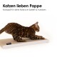 Eine Bengal-Katze spielt auf einem Kartonkratzpad, mit dem Text 'Katzen lieben Pappe' und 'Kratzspaß für deine Katze zum Spielen & Austoben' darüber.