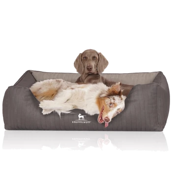 Ein gemütliches Hundebett in Grau mit einem gesteppten Design, auf dem ein verspielter Australian Shepherd bequem liegt und die Marke "KNUFFELWUFFF" zeigt.
