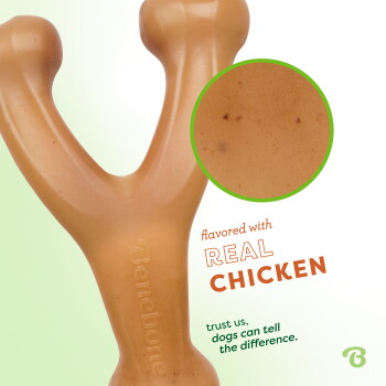 Small chicken-flavored wishbone chew toy for dogs under 30 lbs, labeled "Benebone," made in the USA.