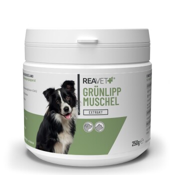Grünlippmuschel Extrakt 250g