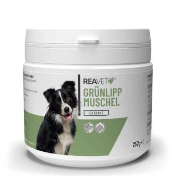 Behälter mit REAVET Grünlipp Muschel-Extrakt für Hunde, mit einem Border Collie auf dem Etikett, Größe 250g.