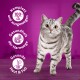 Un chat tigré gris sur une surface en bois avec un fond violet, présentant un texte sur les bienfaits pour la santé et la nutrition.