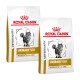 Zwei Beutel Royal Canin Veterinary Urinary S/O Katzenfutter, beschriftet mit "Moderate Calorie," mit einer Katzen-Grafik und dem Markenlogo.
