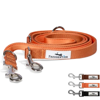 Orangefarbene Freudentier-Hundeleine mit Metallclips, gezeigt aufgewickelt und in braunen, orangefarbenen und schwarzen Farbvarianten.