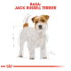 Ilustracja Jack Russell Terriera z białą i brązową sierścią, stojącego na białym tle, oznaczonego "RASA: JACK RUSSELL TERRIER."