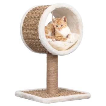 Ein gemütlicher Katzenbaum mit einem runden, plüschgefütterten Versteck, in dem eine getigerte Katze entspannt, und einem stabilen Sockel mit Kratzsäule.