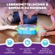 Ein Hund und eine Person sitzen auf einem Holzboden und schauen auf einen blauen, lebensmittelechten Haustiernapf, der frei von BPA, PVC, Blei und Phthalaten ist.