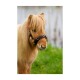 Equizaum schwarz Pony