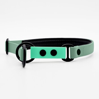 Ein mintgrüner Hundehalsband mit schwarzen Akzenten, ausgestattet mit zwei schwarzen Punkten und runden Befestigungsringen, auf einem weißen Hintergrund präsentiert.