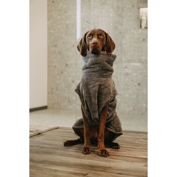 Ein brauner Hund, der ein graues Handtuch trägt, sitzt auf einem Holzboden in einem modernen Raum mit einer hellen Wand und minimalistischer Gestaltung.