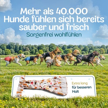 Bunte historische Gebäude säumen eine Kopfsteinpflasterstraße mit Außenbestuhlung. Text: 'Norddeutschland Unternehmen' und 'über 10.000 zufriedene Kunden.'