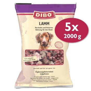 DIBO Lamm-Hundefutterpaket, 2000 g, mit gefrorenen Lammstücken, als geeignet für empfindliche Hunde gekennzeichnet, mit mehrsprachigem Text.