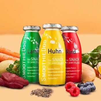 Drei SmoothieDog-Flaschen (Lamm, Huhn, Rind) mit der Aufschrift „Der SNACK für jeden Hund“, umgeben von Fleisch, Beeren, Gemüse und Samen.