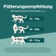 Fütterungsempfehlungstabelle für Katzen, die die täglichen Futtermengen basierend auf dem Gewicht zeigt: 2-4 kg (25-55g), 4-6 kg (55-80g), 6-8 kg (80-110g).