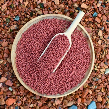 Eine Holzschüssel mit rötlichen Haustierfutterpellets mit einer Schaufel oben, vor einem strukturierten, felsigen Hintergrund.