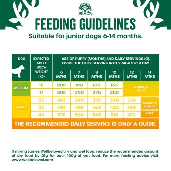 Feeding guidelines chart for junior dogs aged 6-14 months, detailing daily serving sizes based on expected adult weight.