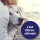 Eine Person umarmt sanft einen weißen Hund, dessen Kopf an ihrer Schulter ruht. Ein kreisförmiger Textüberlagerung lautet "Löst Ohren-schmalz."