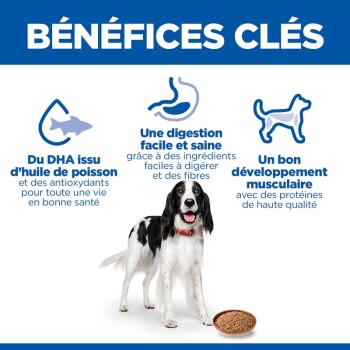 En-tête « BÉNÉFICES CLÉS » ; chien noir et blanc avec collier rouge et bol de croquettes ; icônes/textes : DHA, digestion, développement musculaire
