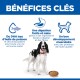 En-tête « BÉNÉFICES CLÉS » ; chien noir et blanc avec collier rouge et bol de croquettes ; icônes/textes : DHA, digestion, développement musculaire