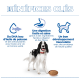 En-tête « BÉNÉFICES CLÉS » ; chien noir et blanc avec collier rouge et bol de croquettes ; icônes/textes : DHA, digestion, développement musculaire