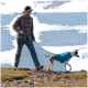 Eine Person in einem karierten Hemd und einer Mütze führt einen Hund mit einer blauen Weste auf einem felsigen Weg am See entlang, mit Bergen im Hintergrund.
