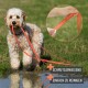 Hund mit orangefarbener Leine an einer matschigen Pfütze; Einsatz zeigt eine Hand, die die Leine abwischt; Text: 'Schmutzabweisend, Einfach zu reinigen'