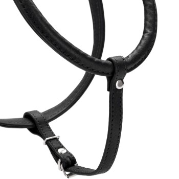 Schwarzes Leder-Haustiergeschirr mit verstellbaren Riemen und silberner Metallschnalle, das ein schlankes Design für Komfort und Stil zeigt.
