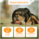 Bild von vier Hundekauartikeln in verschiedenen Größen, gekennzeichnet mit S, M, L und XL, mit entsprechenden Gewichtsspannen und Hundebildern.