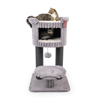 Ein plüschiger grauer Katzenbaum mit zwei Ebenen, auf dem eine getigerte Katze oben liegt und eine andere Katze im würfelförmigen Raum sichtbar ist.