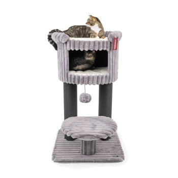 Ein plüschiger grauer Katzenbaum mit zwei Ebenen, auf dem eine getigerte Katze oben liegt und eine andere Katze im würfelförmigen Raum sichtbar ist.