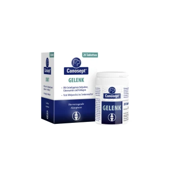 Canosept Gelenktabletten 20x1 Stück Canosept Gelenk Nahrungsergänzungsmittel für Haustiere: Box und Flasche mit 20 Tabletten, die grünlippige Muschel, Glucosamin und Kollagen enthalten.