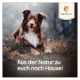 Ein glücklicher braun-weißer Hund liegt auf dem Boden, mit dem Text "Aus der Natur zu euch nach Hause!" und dem Wildfang-Logo in der Ecke.