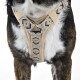 Hundegeschirr Mokka M