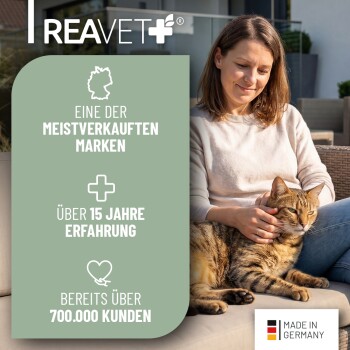 Eine flauschige graue Katze liegt in einem Feld aus grünem Gras und gelben Blumen, mit einem weißen Logo in der unteren rechten Ecke.