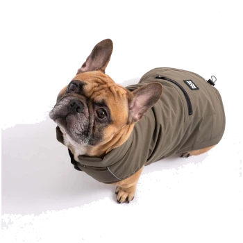 Ein französischer Bulldogge trägt einen stilvollen olivgrünen Hundemantel und schaut mit einem neugierigen Ausdruck nach oben. Der Mantel hat eine Reißverschlusstasche und ein Logo-Patch.
